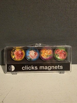 i Pop Klicks Lil Guy Super Starke Kühlschrankmagnete 5er Set Neu Blumen