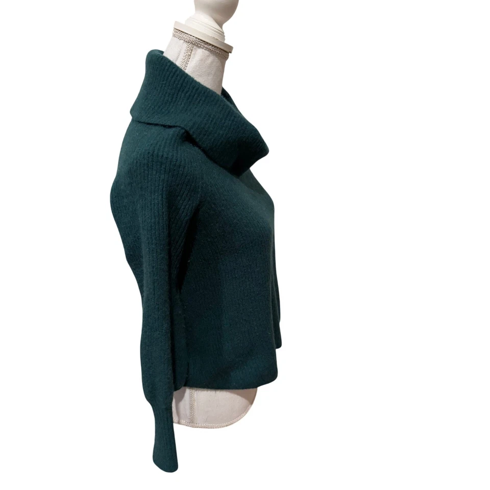 Suéter Cuello Capucha Cachemira Acanalado Calanthe Soft Surroundings Verde S Foto 4 de 4
