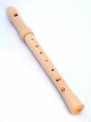 STEINARD SOPRANO MAPLE  WOOD 2 PIECE RECORDER w/CASE, FINGERING CHART & CLEANER