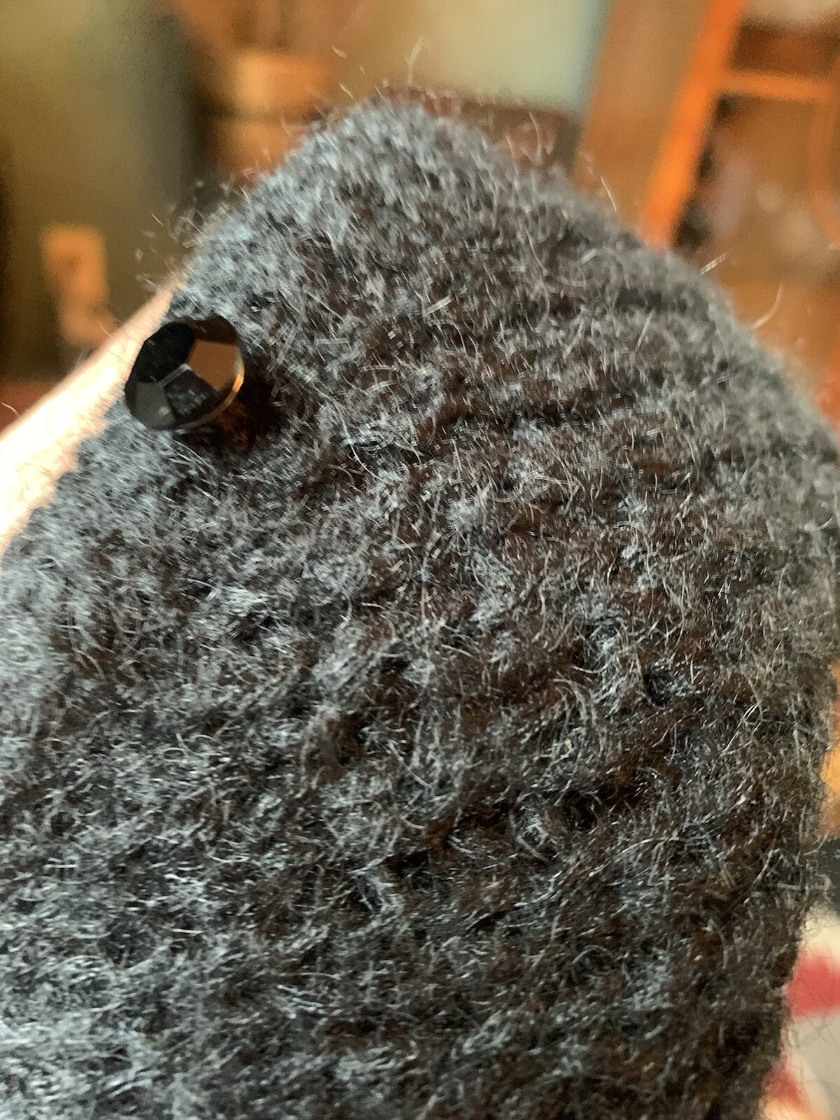 Picture 5 of 5