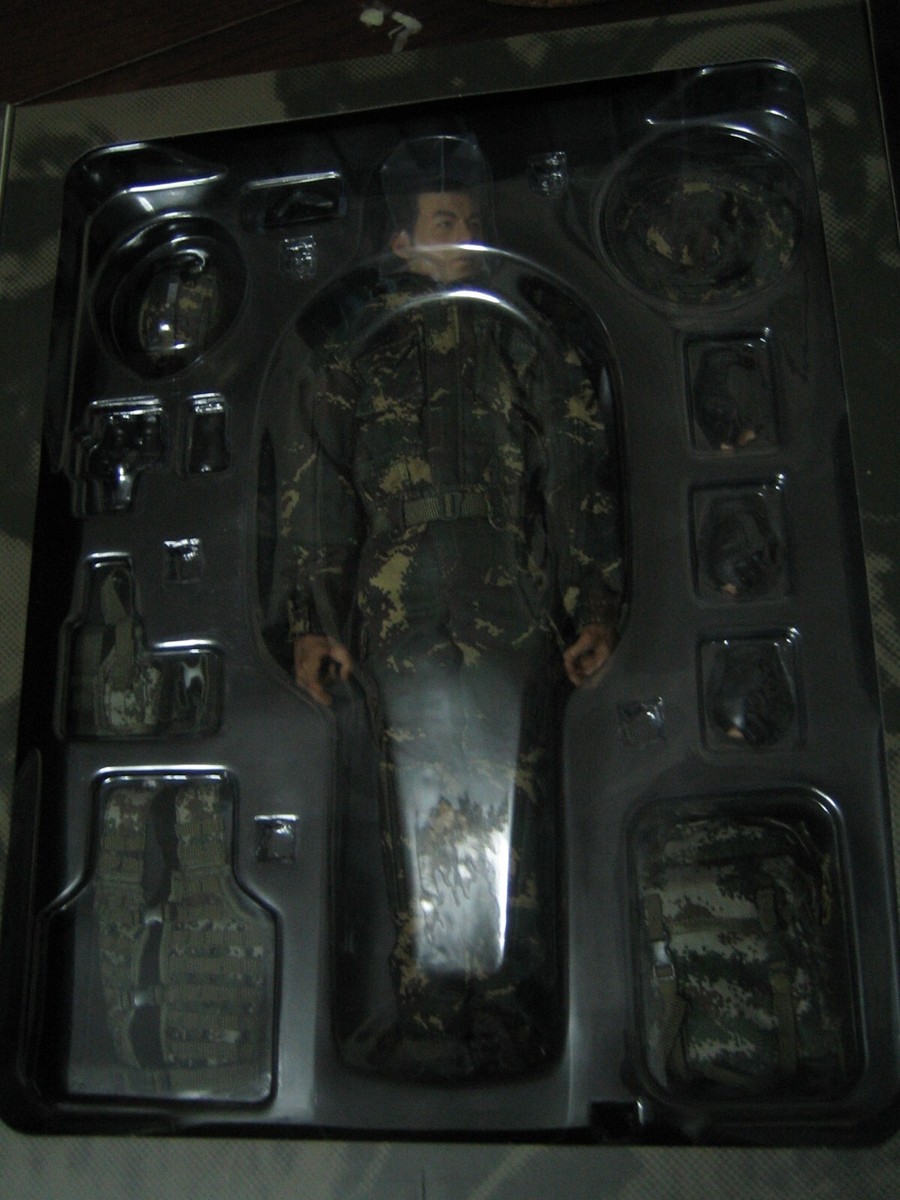 1/6 Damtoys Chinese People's Liberation Army Special Forces Action