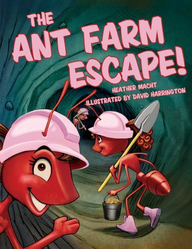 Farm lessons
23