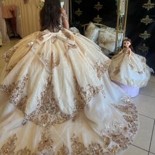 Exquisite Quinceanera Dresses Ball gown seeep train Luxury Champagne Prom Dress