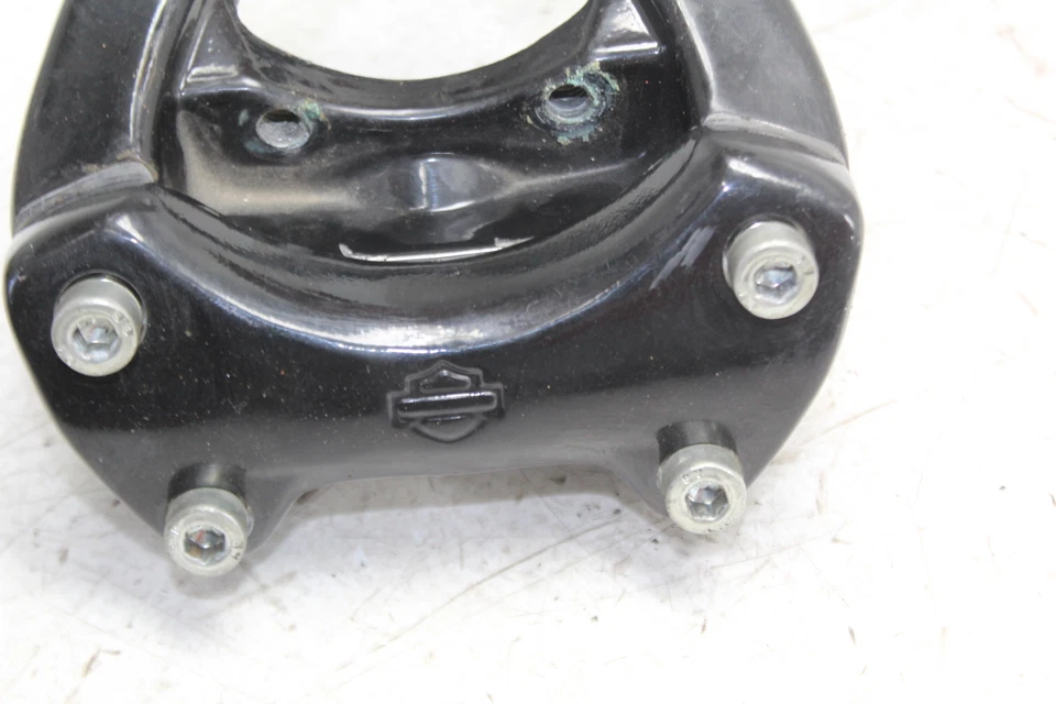 Harley-Davidson Street 500 XG500 2015 elevadores de manillar Foto 2 de 4