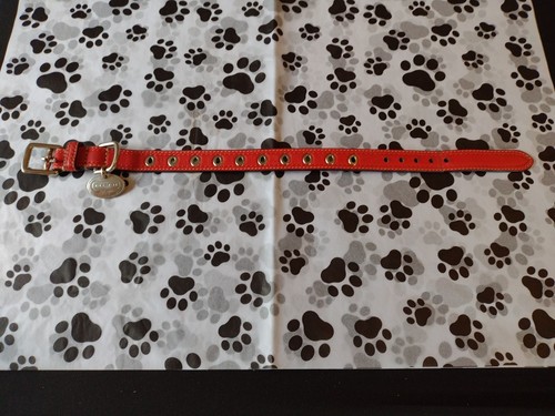 Coach Dog Collar Small