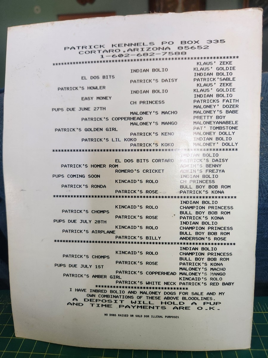 The American Gamedog Times June/July 1991 Pit Bull Magazine Pit Bull Terrier
