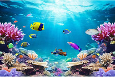 48x20 Inch Aquarium Background Tropical Reef Coral Fish Tank Scene Polyester