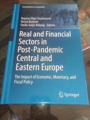 Real and Financial Sectors in Post-Pandemic Central and Eastern Europe: The Impa