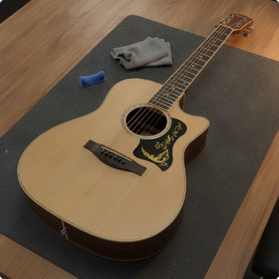 10 Stück Gitarre Schalllochschutz Schild Schalllochschutz Golddruck
