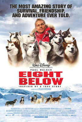 Eight Below Paul Walker, Jason Biggs Movie Poster 17 X 12