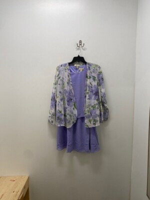 APPLESEEDS PETITES DRESS, SIZE 8P, (ID#1443-401)