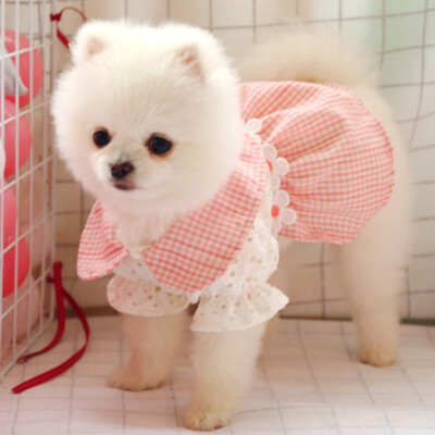 Summer Pets Dress Hollow Pink Plaid Flower Skirt Lace Doll Dress Dog Cat  Outfits | eBay