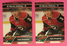 2 - 2009 MCPA, Crime Prevention, Minnesota Wild- MAREK ZIDLICKY - Czech Republic