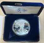 2004W Impaired Proof American Eagle With Original Mint Packaging - West Point