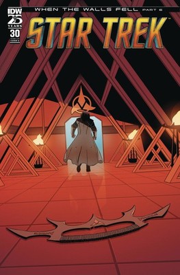STAR TREK #30 IDW PUBLISHING