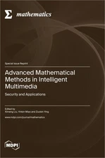 Advanced Mathematical Methods in Intelligent Multimedia: Security and Applicatio