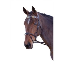 Blenheim Leather Polo Horse Browband (ER195)