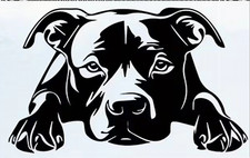 1x Staffy Dog Vinyl Sticker Decal Graphic Car Van Window etc