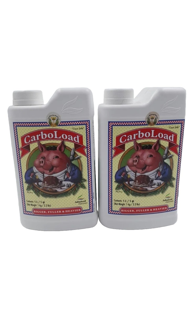 その他 Carboload s-l1200.jpg