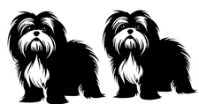 Two Shih Tzu Black Vinyl Decal Car Truck Windows Laptop Notebook Tablet Tumblers