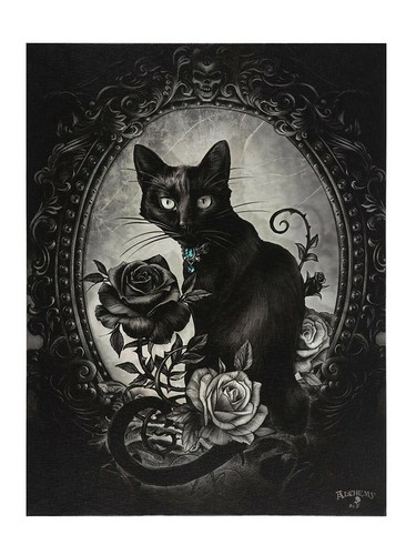 WANDTATTOO KATZE Kleine Katzen Kätzchen 5 Katzen Vinyl