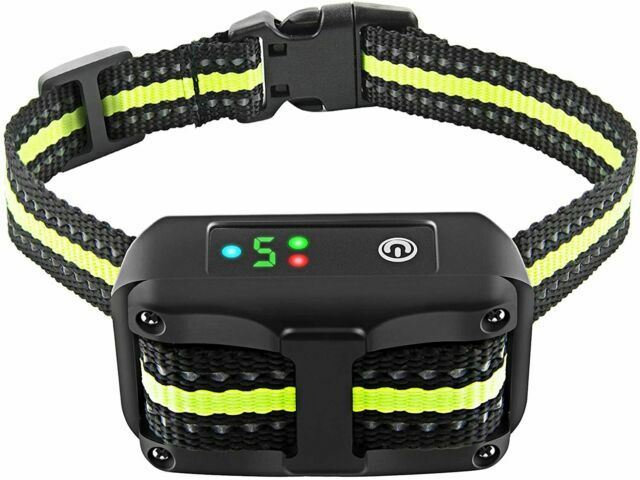 best bark training collar