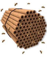 100Pcs Mason Bee Tubes 6" Nesting Refill Cardboard Tubes Bee House Paper Inserts