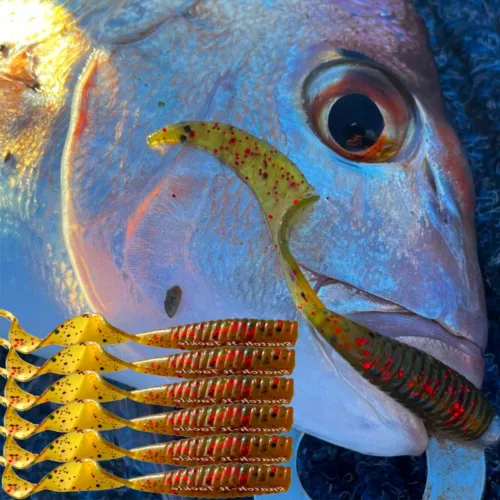 10 Soft Plastic Fishing Lures TPR Curly TAIL FLATHEAD SNAPPER BASS Bream Lure
