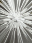 Bild 8 von 11