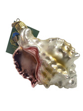 Old World Christmas Blown Glass Ornament 2005 Mexican Seashell