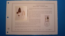 FRANCE DOCUMENT ARTISTIQUE YVERT 2490 CHAMPIGNON MORILLE PARIS 1987  L511