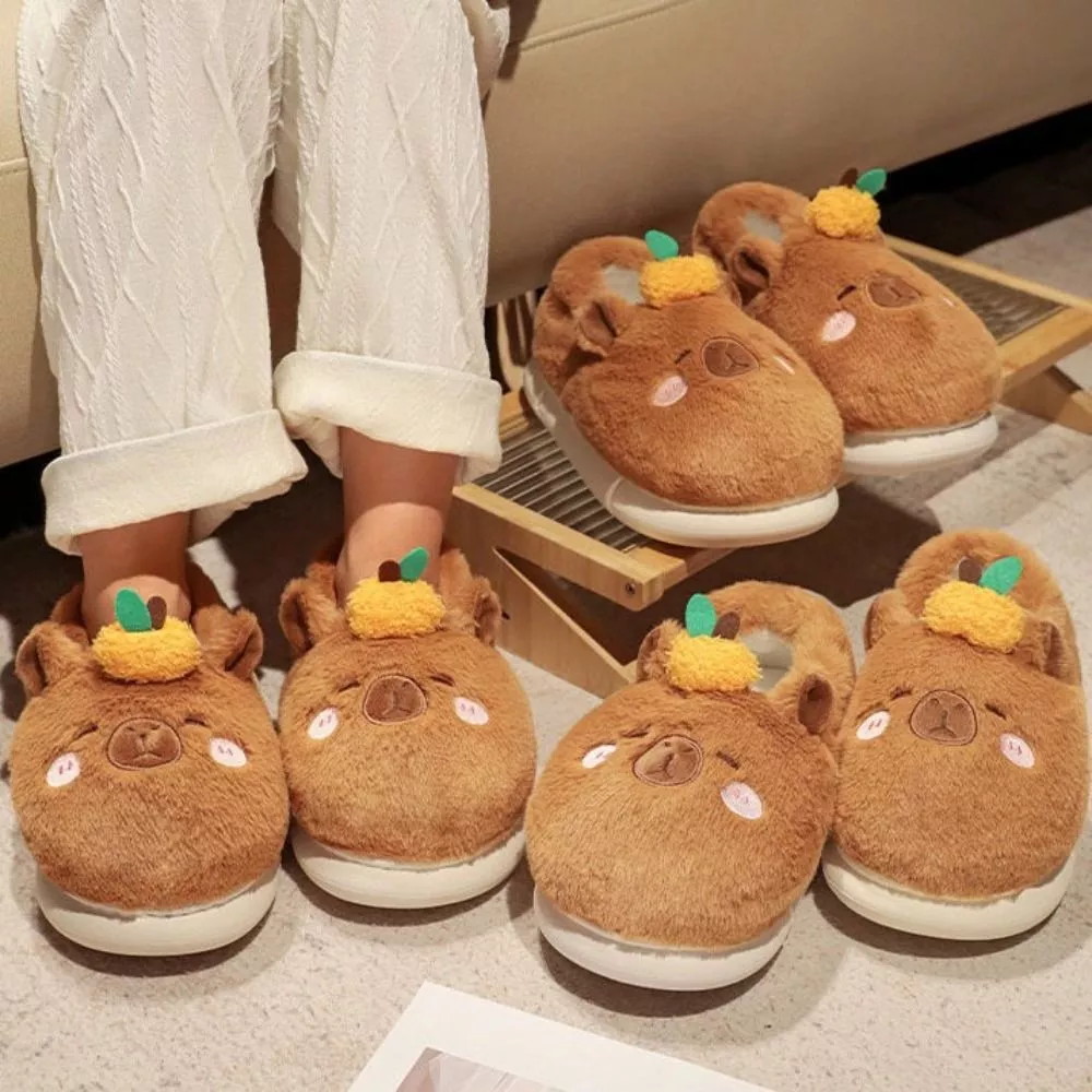 Capybara slippers shop