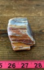 Arizona Rainbow Petrified Wood, .77 Lbs, Agatized, Polished Colorful Display! — photo 5