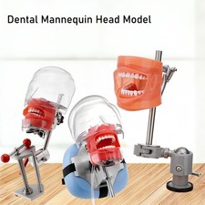 New Dental Simulator Mannequin Head Teeth Model Typodont Model Teeth Mount Pole