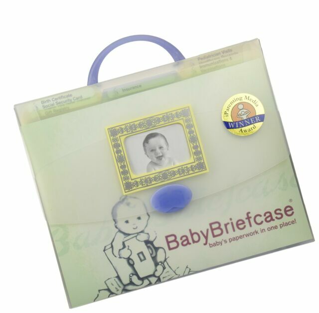 Baby Paperwork Organizer Mint/periwinkle Frosted Plastic Briefcase 3 for sale online eBay