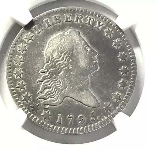 1795 Flowing Hair Half Dollar- O-108A - NGC VF30!  Beautiful Type Coin!