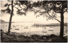 New Haven Connecticut Postcard Mansfield Grove, Boats, Panoramic View #86208