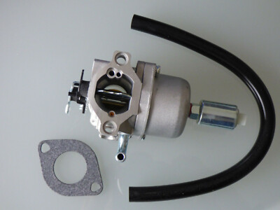 Vergaser passend  Briggs Stratton 796109 591731 Intek OHV 594593 31R800 Dichtung