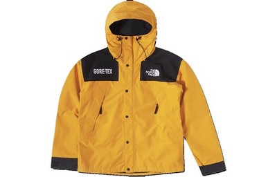 The North Face GTX Mountain Jacket 'Summit Gold/TNF Black'