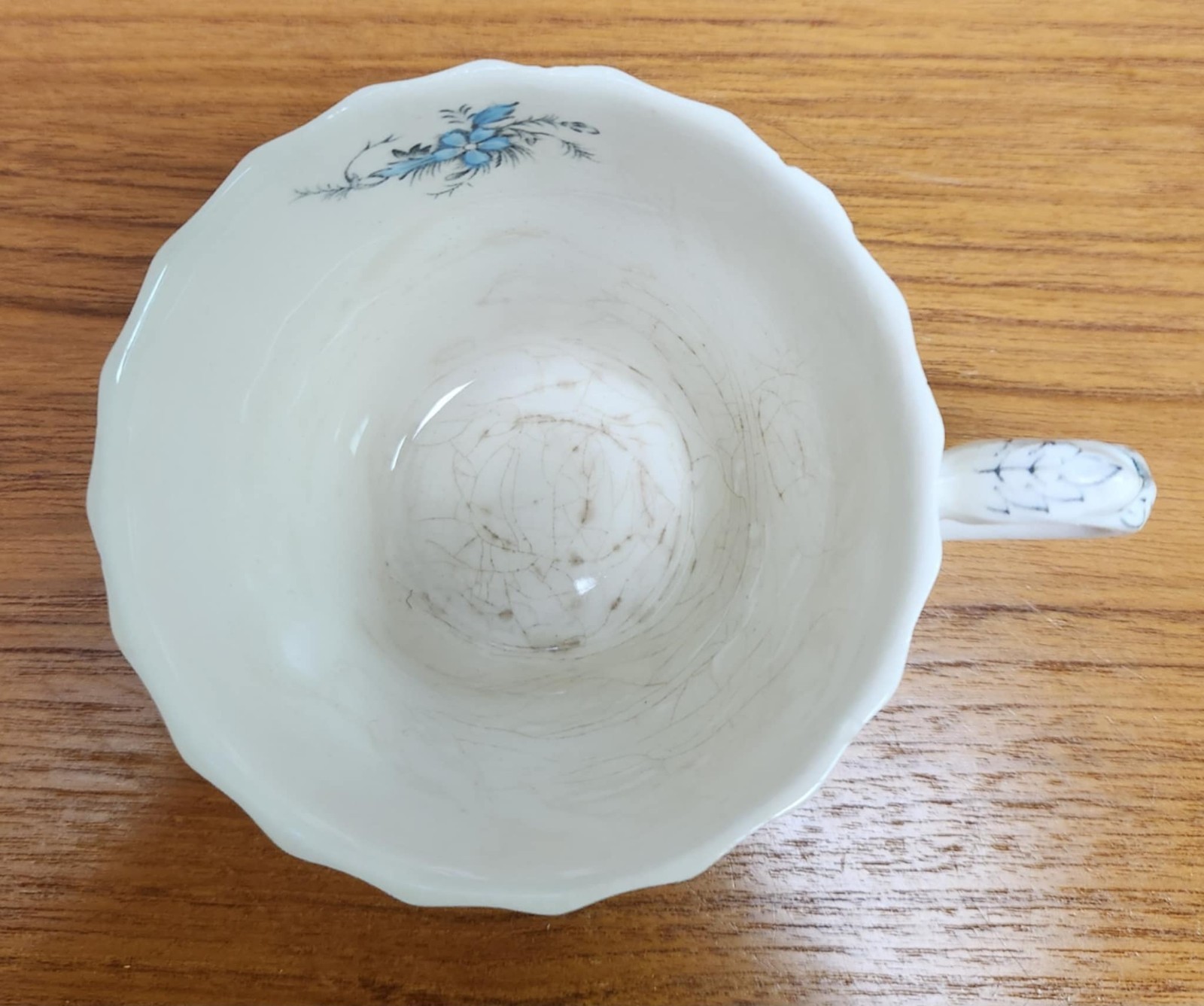 Myott England Fine Staffordshire Ware - Forget Me Not - Tea Cup 5