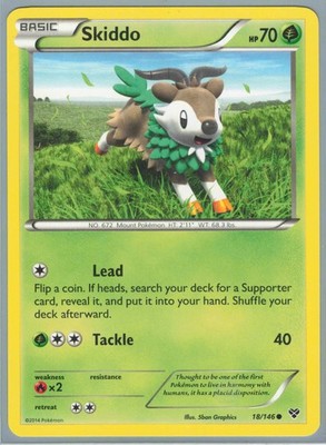 Skiddo Common XY Base Set 18/146 LP
