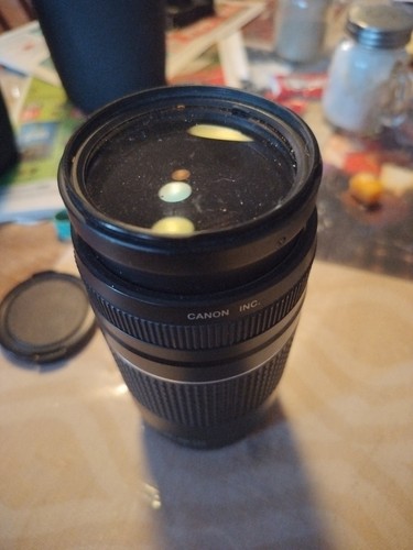 Canon EF 75-300mm f/4-5.6 III Telephoto Zoom Lens