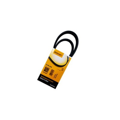 Keilrippenriemen CONTITECH 6PK976