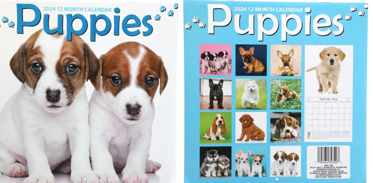 2024-wall-calendar-puppies-12-month-12-x-24-inches-brand-new-ebay