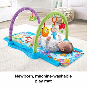 fisher price music arch