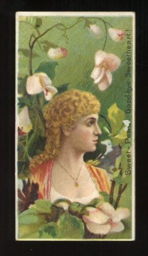 1892 N75 Duke Floral Beauties #45 Sweet Peas VG - Photo 1/2