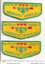 NA-TSI-HI  LODGE 71  S1a + S1b + S1c  FLAPS  NEW JERSEY OA  BSA  MINT