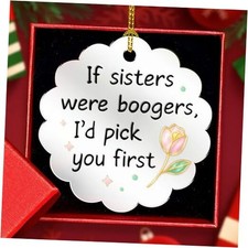 Funny Sister Gifts - If were Boogers Silver Mirrored Acrylic Ornament, Sisters