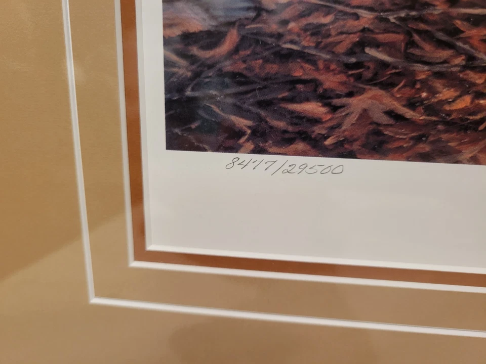 TERRY REDLIN OTOÑO NOCHE PERSONALIZADO ENMARCADO Y MATE FIRMADO CERTIFICADO DE AUTENTICIDAD 40 x 28 EDICIÓN LIMITADA Foto 3 de 4