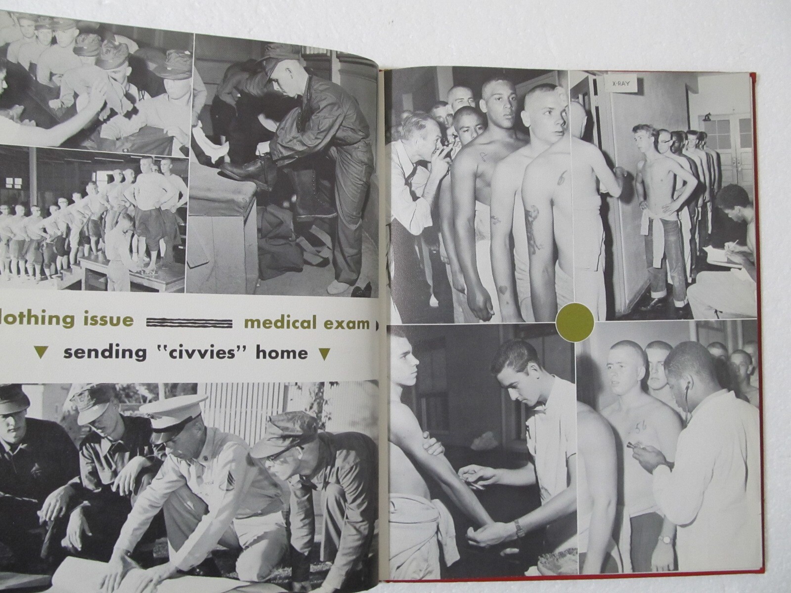 Picture 9 of 20